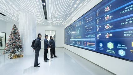 攜手共進(jìn)，開創(chuàng)信息服務(wù)新篇章——上海市信息服務(wù)業(yè)行業(yè)協(xié)會秘書長陸雷一行蒞臨珍島集團(tuán)調(diào)研