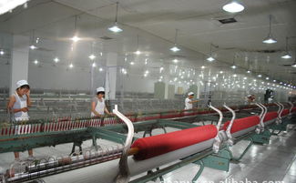 高檔精品時尚品牌羊絨衫誠招代理加盟，廠家直供，優(yōu)價共贏